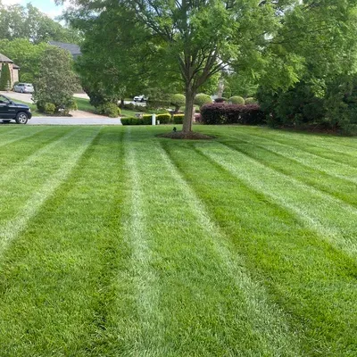 Underdog Outdoor Services