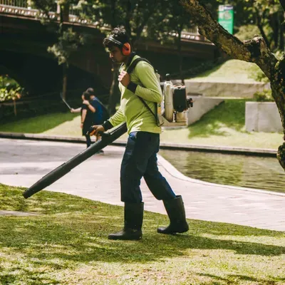 Lawn Cuts Today