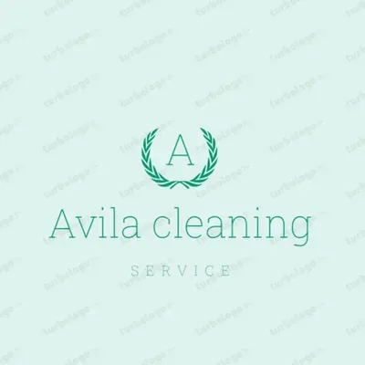 Avila cleaning company