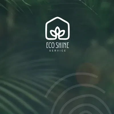 Eco Shine Service