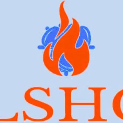 Lewis Superior Heating & Cooling