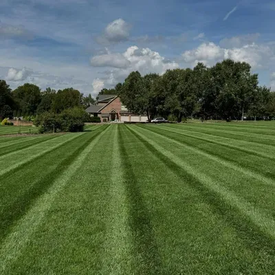 J&M Landscaping Lawn services LLC