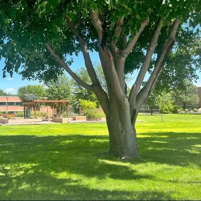 JAS Landscaping & Maintenance LLC