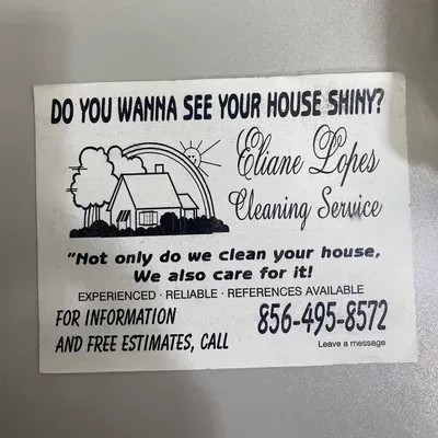 Eliane Cleaning Services