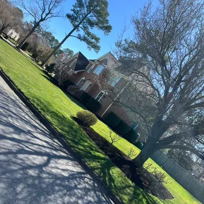 Rodriguez tree service