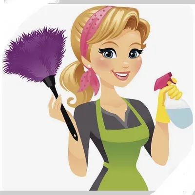 Perfect home clean