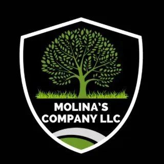 Molina’s Company LLC