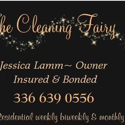 Cleaning Fairy
