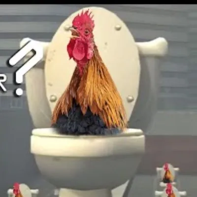 Rooster plumbing