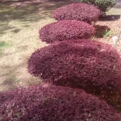 T W Landscaping