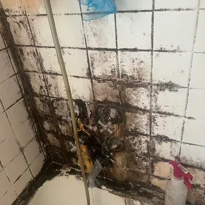 Frederic Cleaner Services