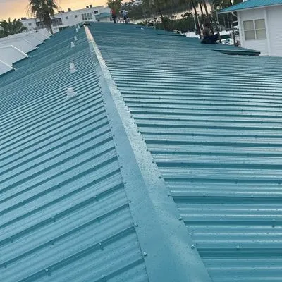 Specialized Roofing Systems
