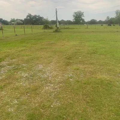 Rogers lawn care