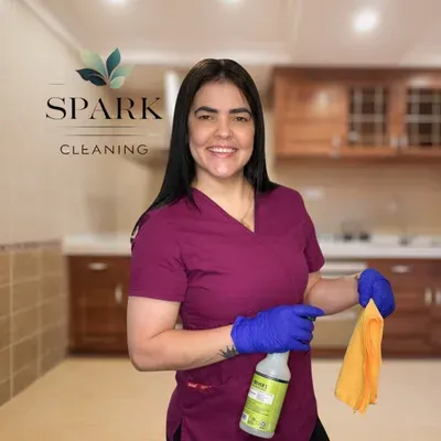 Spark Cleaning