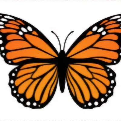 Monarch