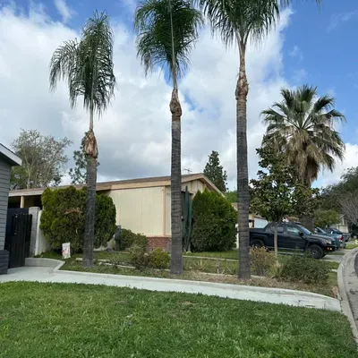 SL LANDSCAPING