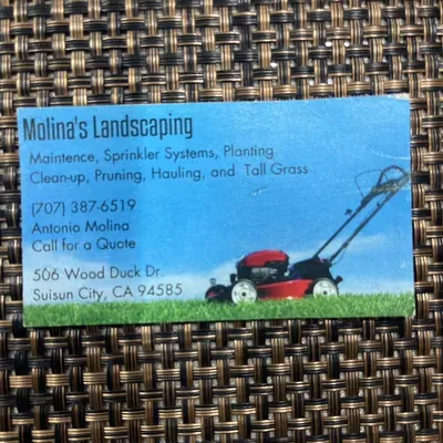 Molina's Landscaping