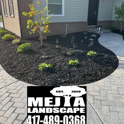 Mejia's Landscape