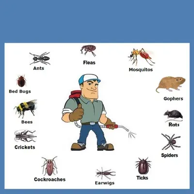 Assured Pest Control