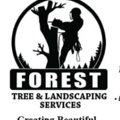 Forest Tree and Landscaping Services