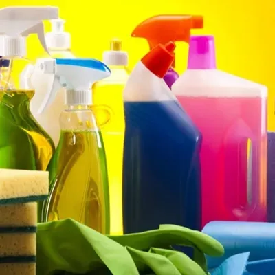 Dust Bunnies Cleaning services