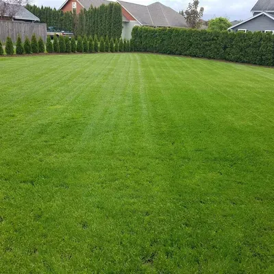 Premier Lawns