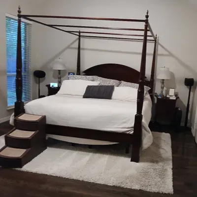alexa's cleaning house