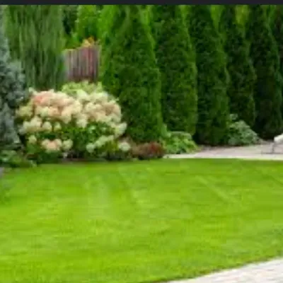 Nohel lawn services