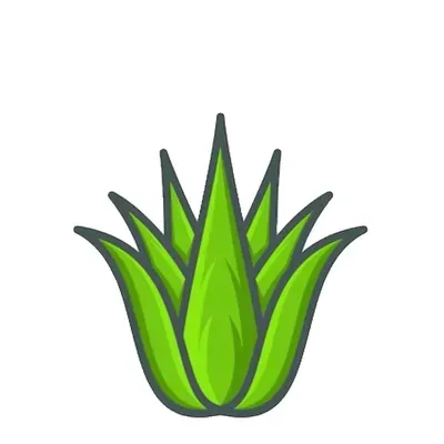 Aloe Vera Lawn Care Inc