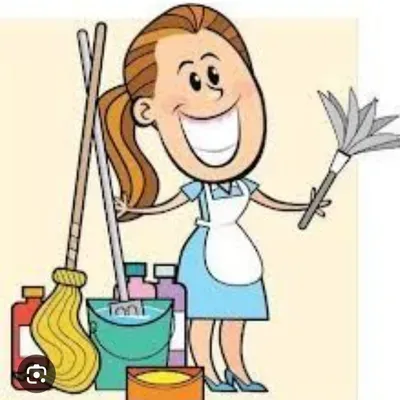 VieiraCarvalho  House Cleaning