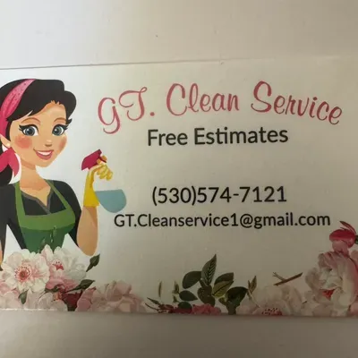 GTclean service