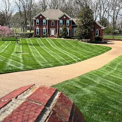 rayo lawn care