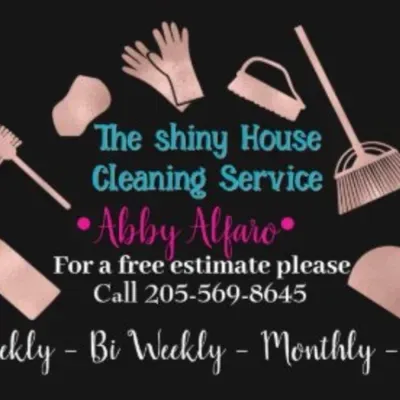 The Shiny house, cleaning services