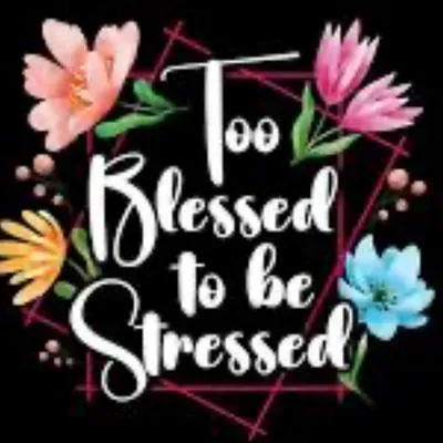 Too Blessed to be Stressed Cleaning