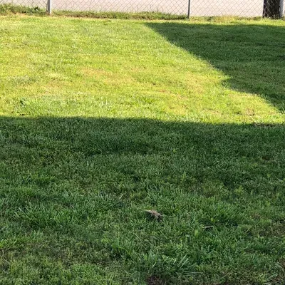 Jadens lawn care