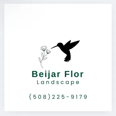 Beija Flor Landscape