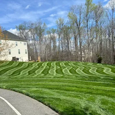Twins landscaping