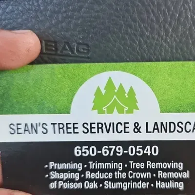Sean's & Brothers House cleaning