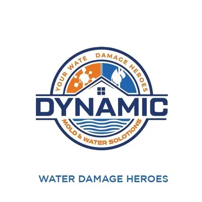 dynamic mold and water solutions