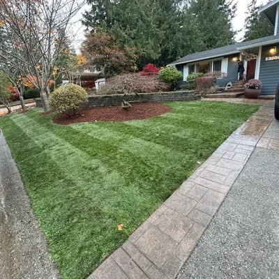 M & D landscape