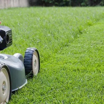 Tml Lawn care
