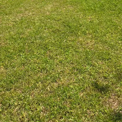 LRC Lawn Care