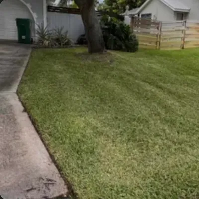 Prime Cuts Lawn Service