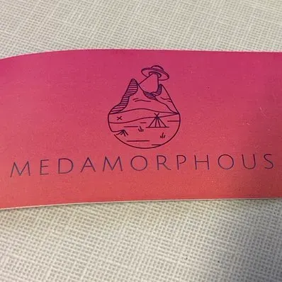 MEDAMORPHOUS LLC