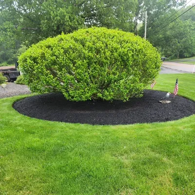 JR landscaping