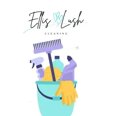 ELLIS LUSH CLEANING