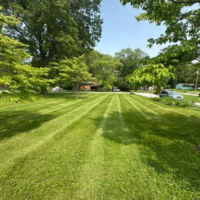 Andrew’s Lawn Cutting