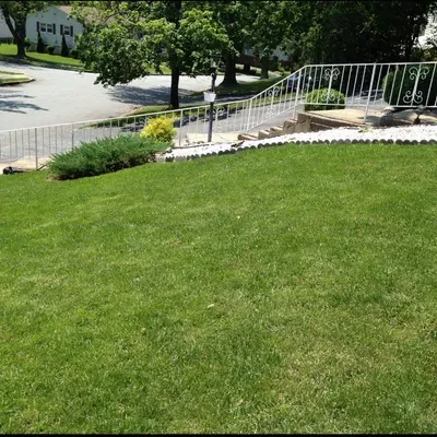 Isiah Lawn Care