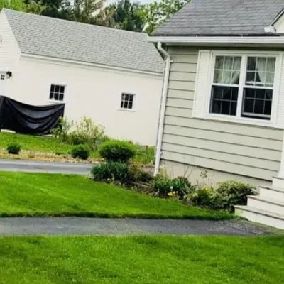 Lawn mowing lovee and co