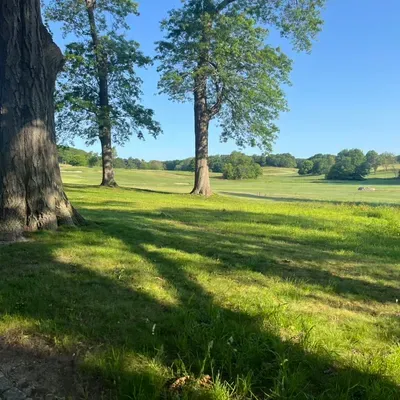LuckiiElite LandScape’s
